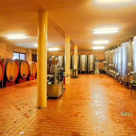Cantina Monpissan * Канале