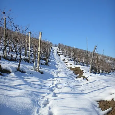 Cantina Monpissan Летний дом *