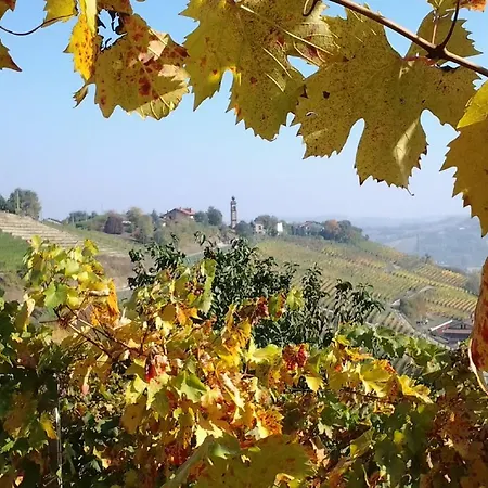 Cantina Monpissan Канале