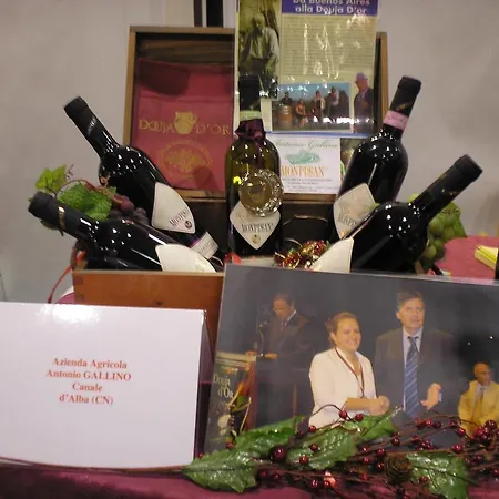 Летний дом Cantina Monpissan